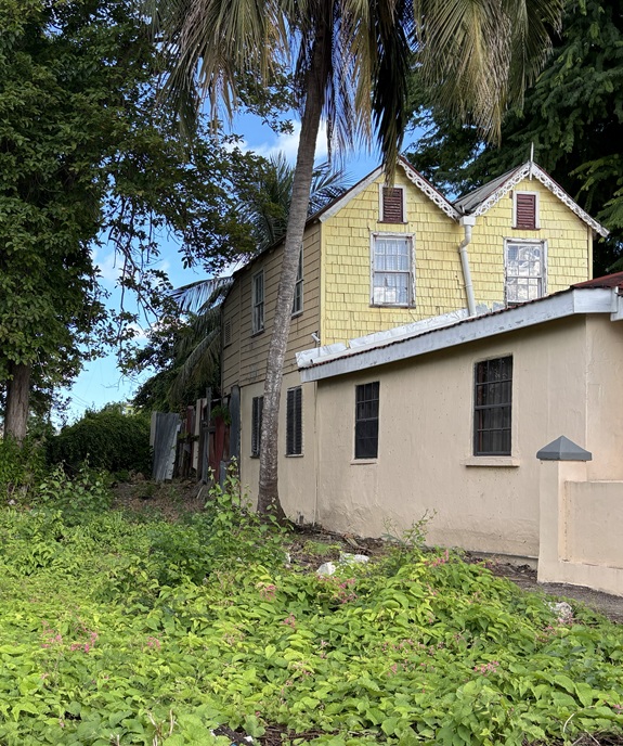 yellow clad house with palm tree by the side