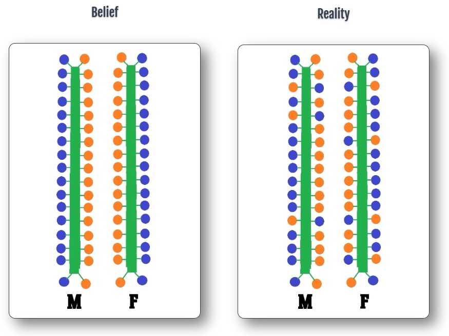 Mixed orange and blue circles one each side.
