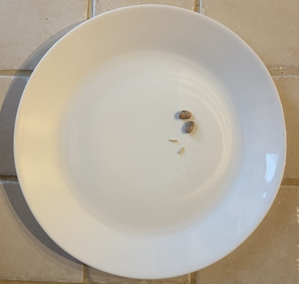 white place with two beans and two grains of rice